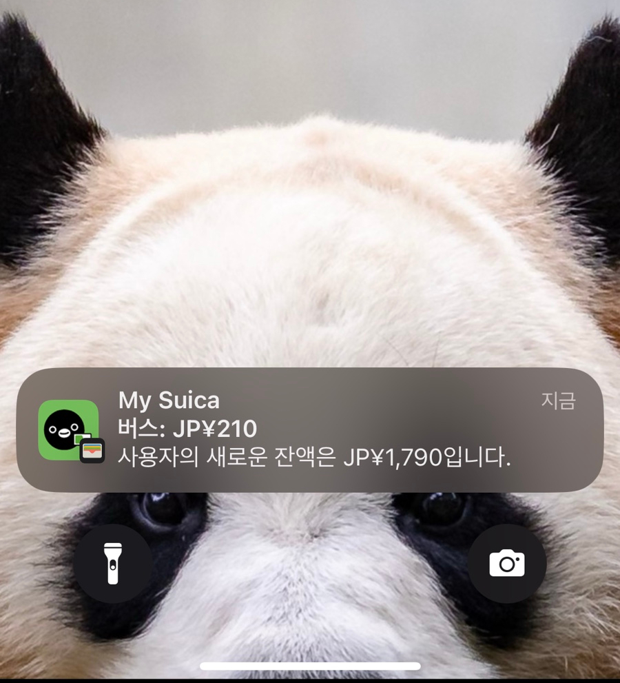 톤키 이미지