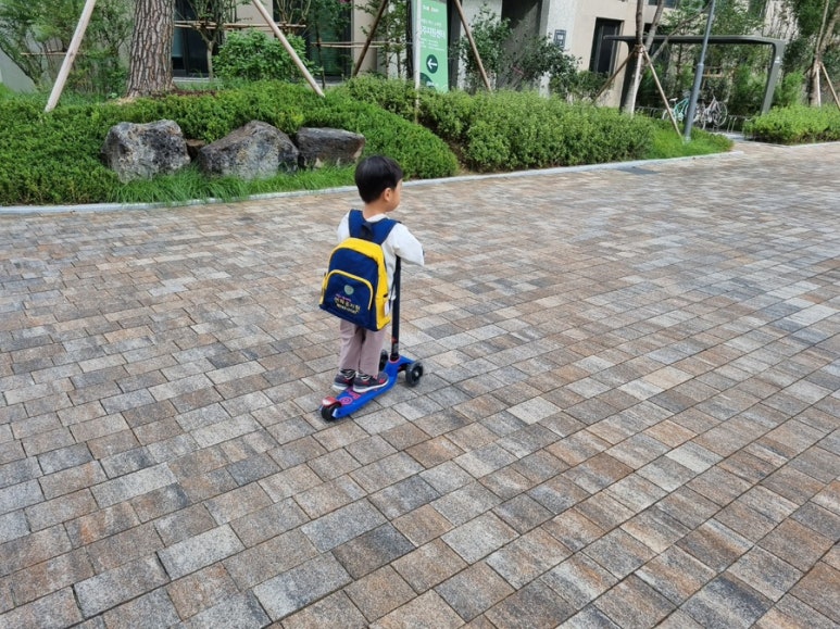 연화 유치원 이미지