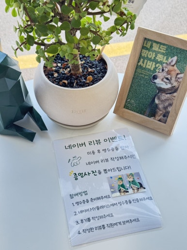 어썸독 후기 사진