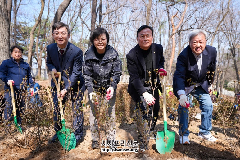나무특별시 이미지