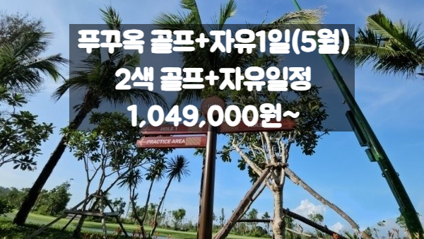 에스홀리데이 이미지