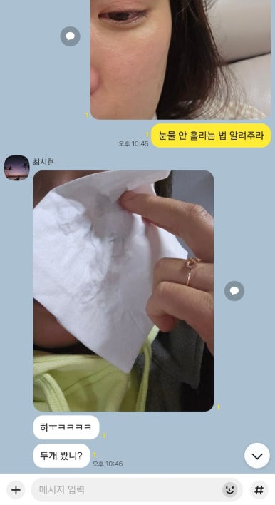 캐일리 이미지