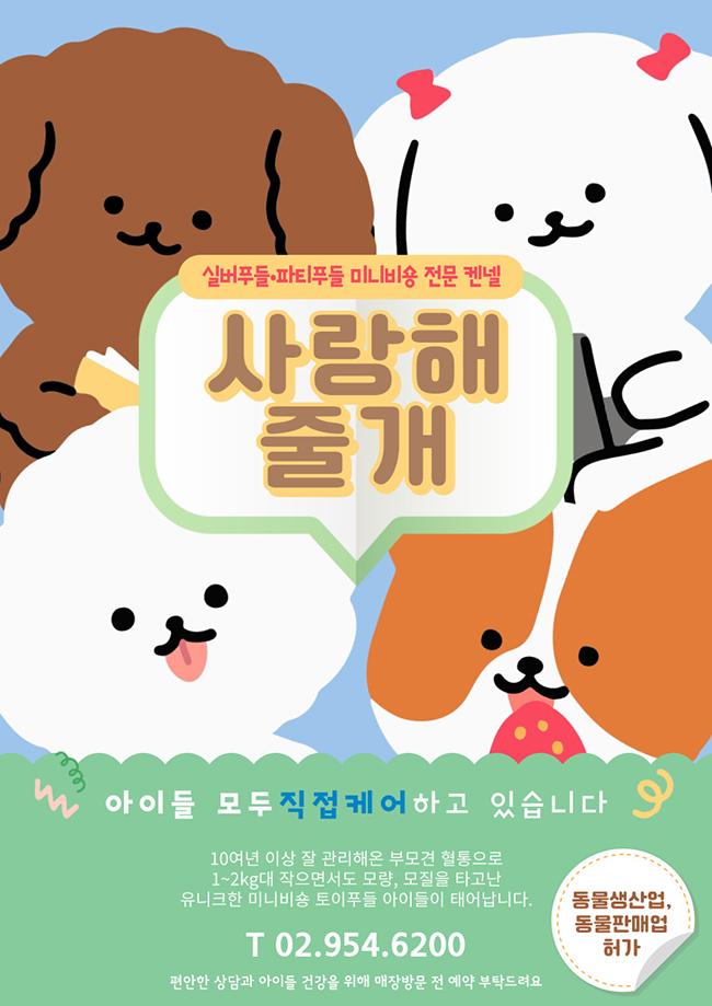 벨라루시애견미용학원 이미지
