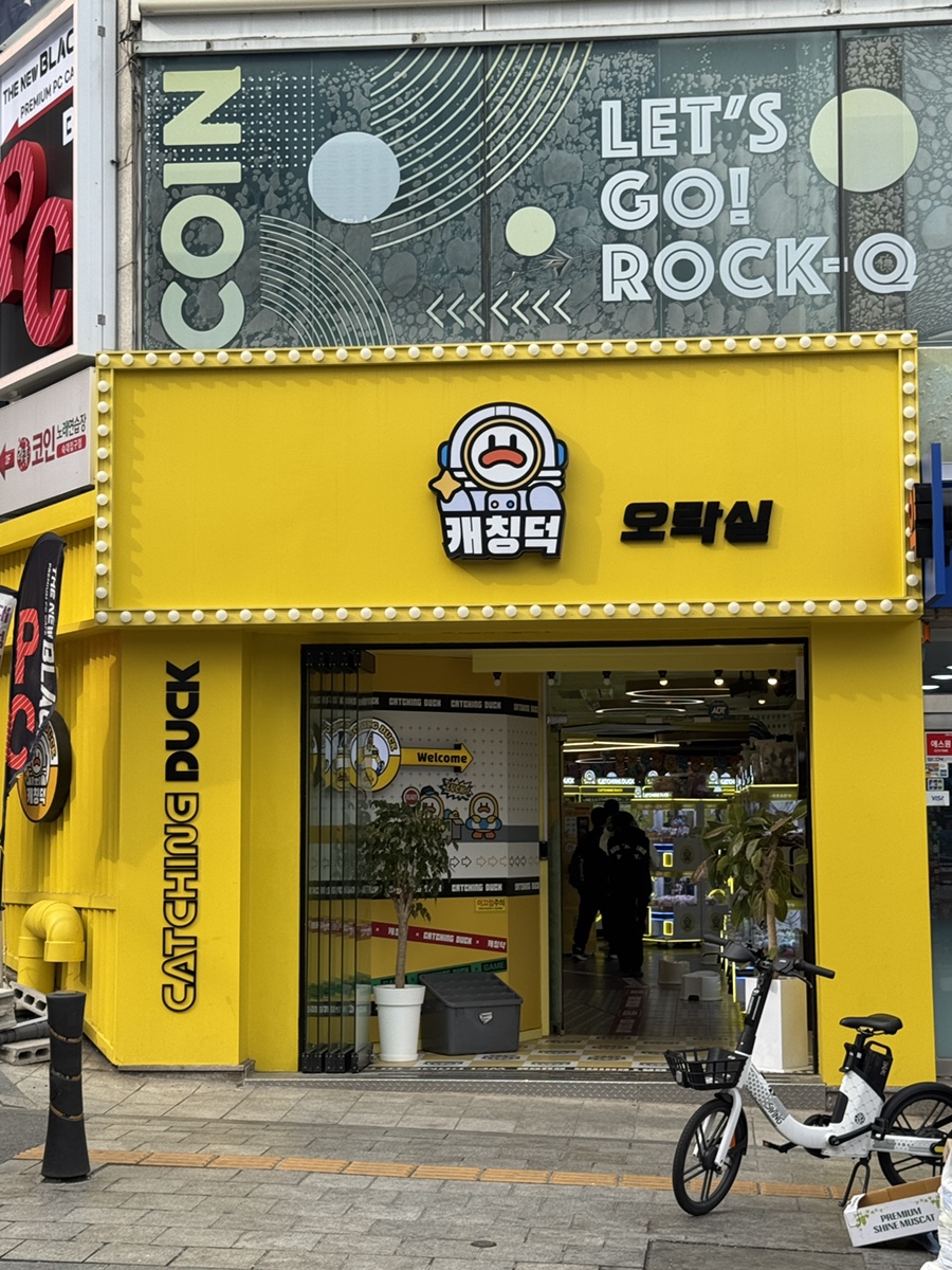 캐칭덕 이미지