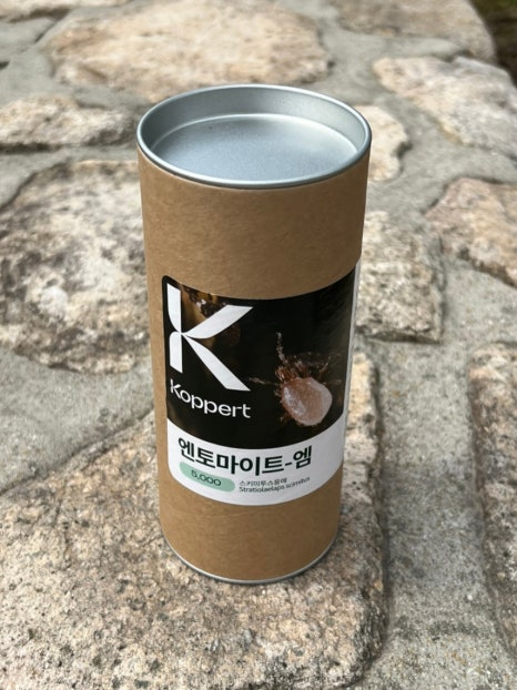 엠퍼트 이미지