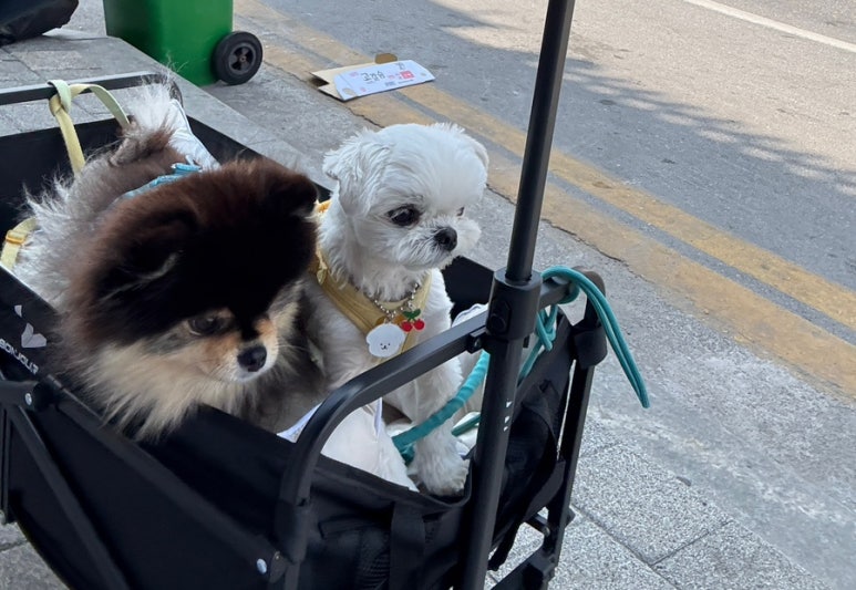 동해를그리다 이미지
