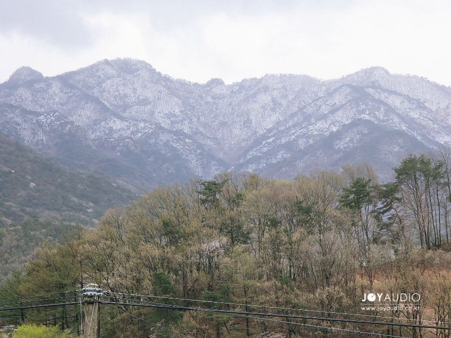 본가 마장동 축산 이미지