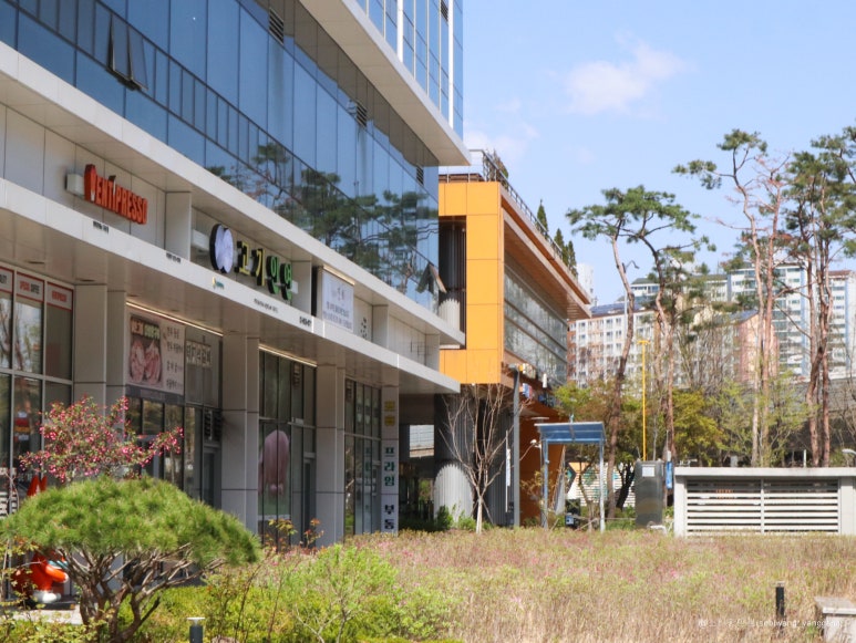 차프로통돼지 이미지