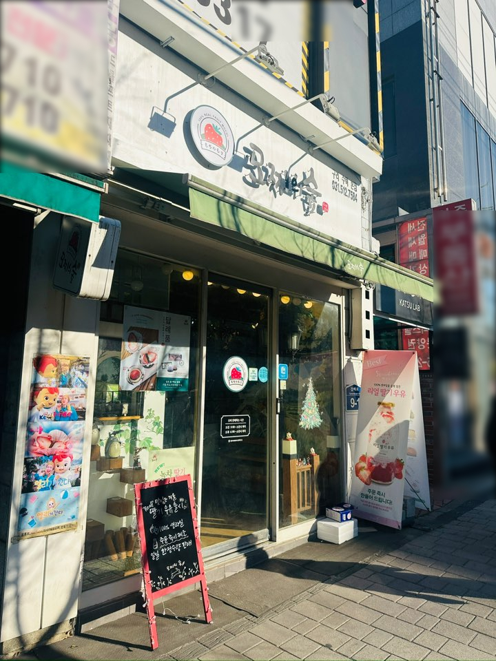 모찌의숲 이미지