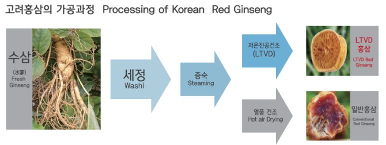 웰너스코리아 주식회사 이미지
