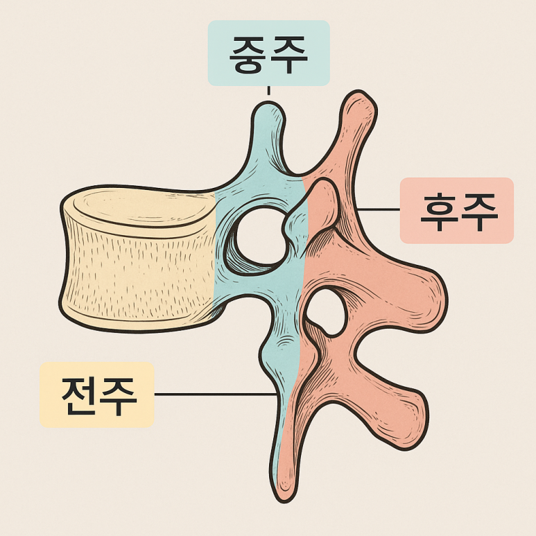 세중주 이미지