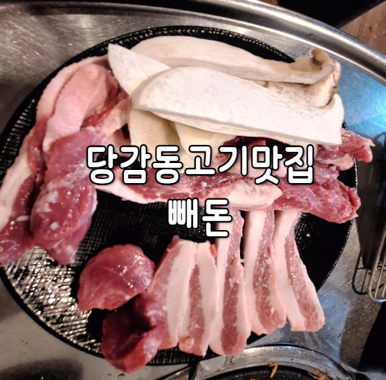 빼돈 이미지