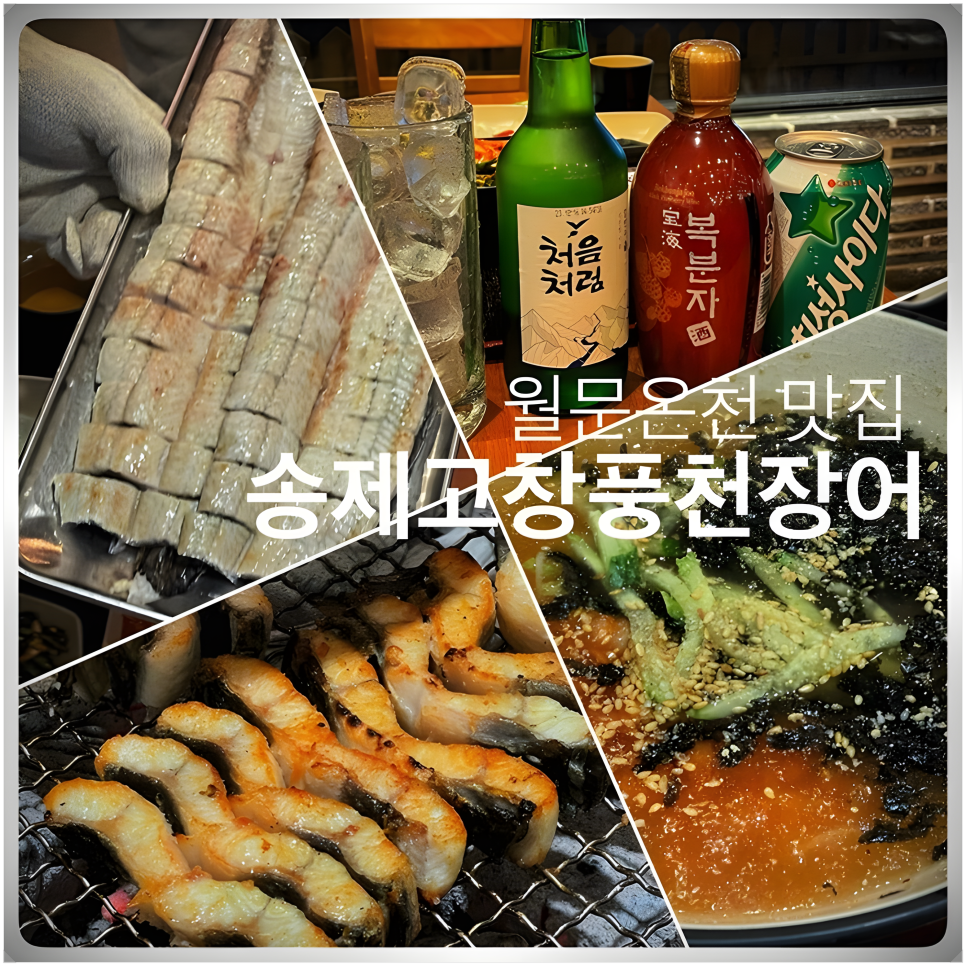 송제고창풍천장어 이미지