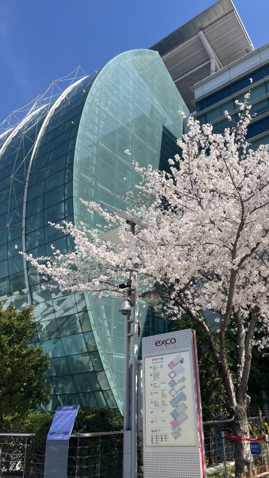 (주)엑스코투어 이미지