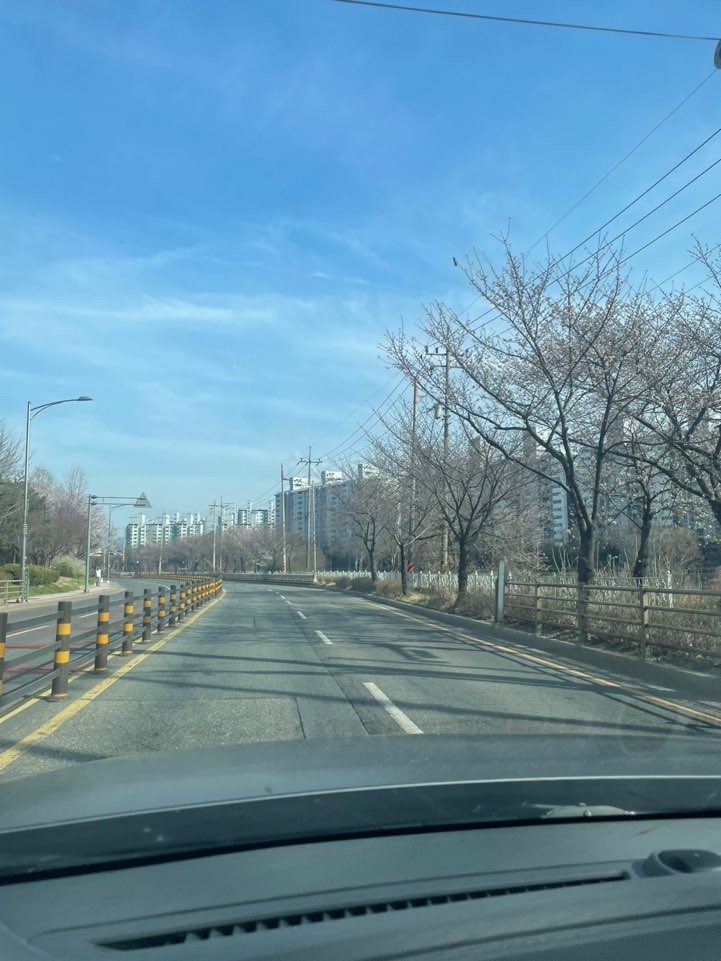 마일드태닝 이미지