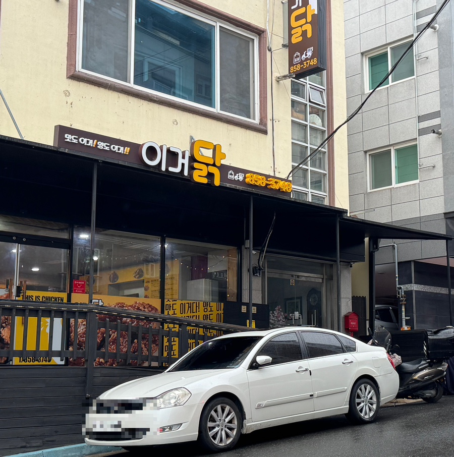 이거닭 이미지