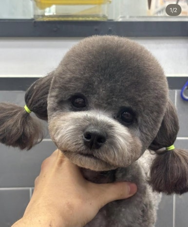 크리스타일 이미지