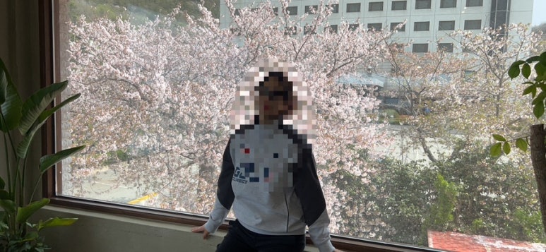 나리옥 이미지