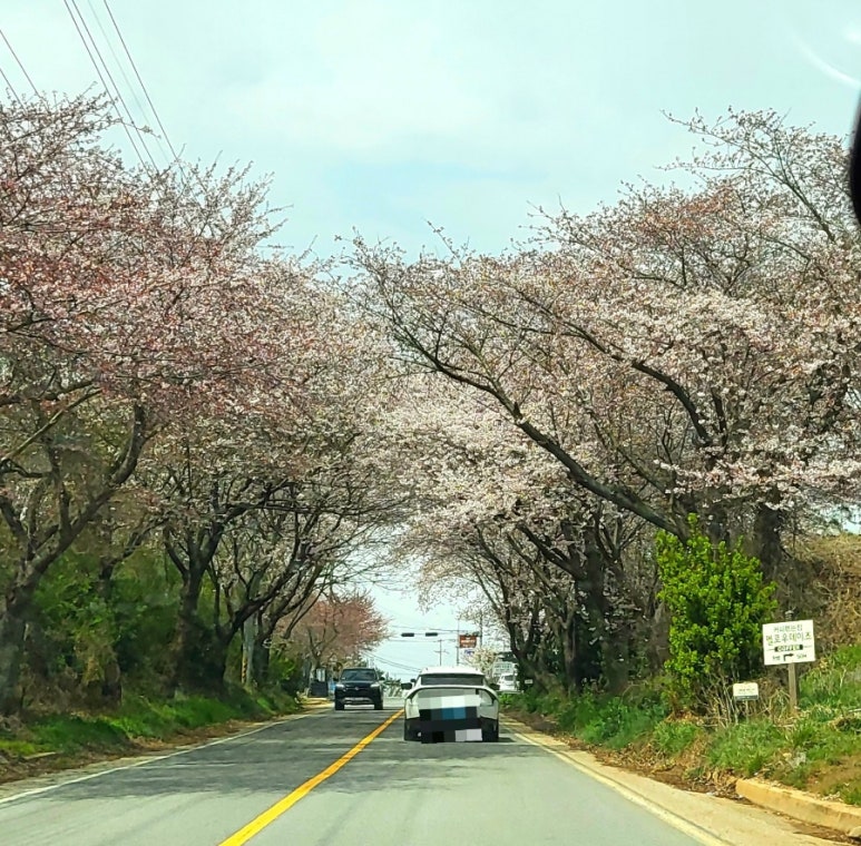 밥도둑 꽃게장(무한리필) 이미지
