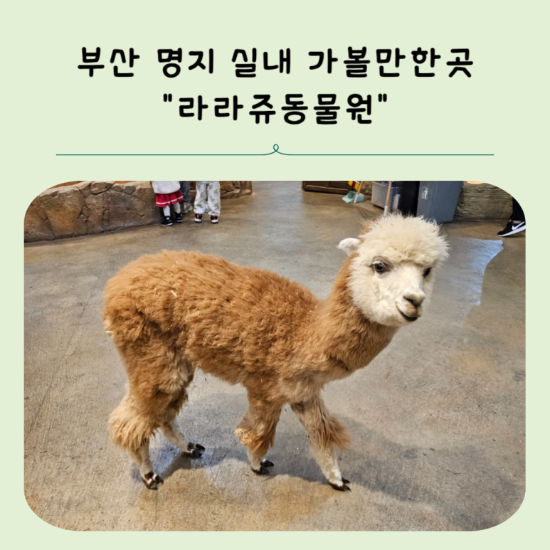 라라쥬카페 이미지