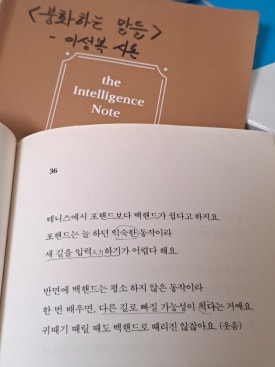 꼬투리걸 이미지
