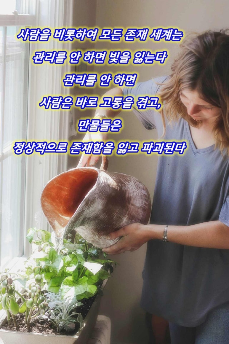 하늘사랑 이미지
