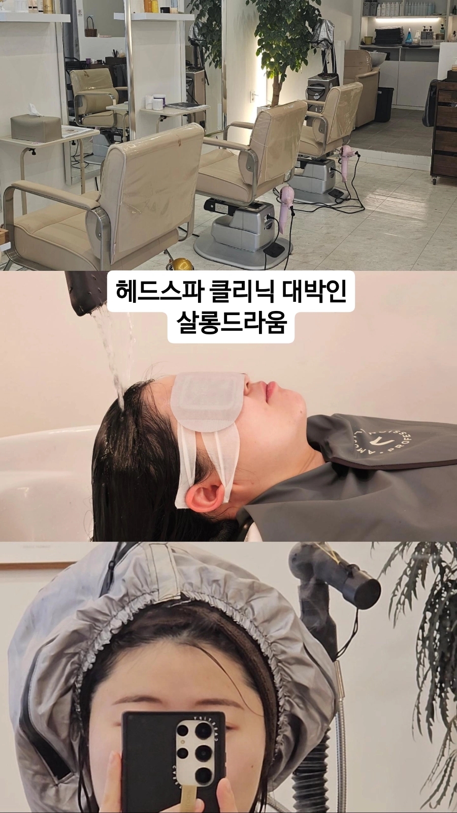 살롱드라움 이미지