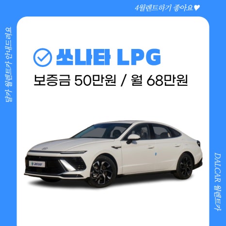 달카 이미지