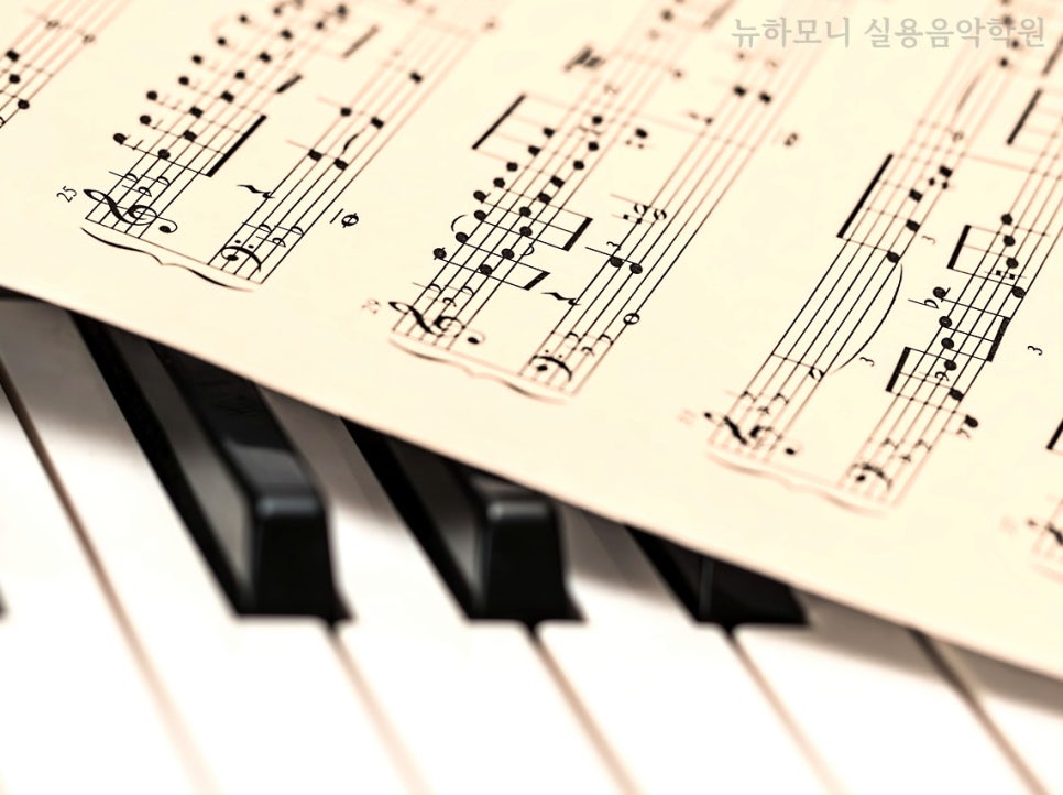 뉴하모니실용음악학원 이미지