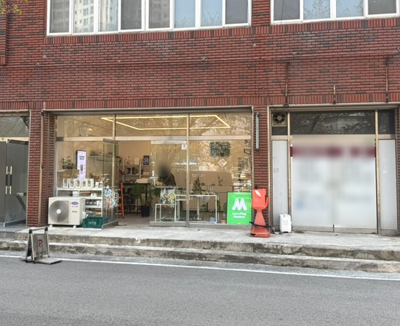 루하리움 이미지