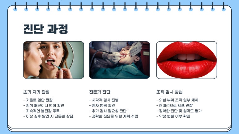 태선위생 이미지