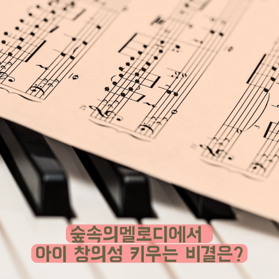 숲속음악교습소 이미지