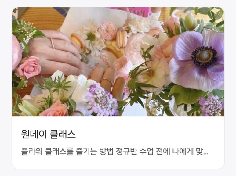 라이티티아플로 이미지