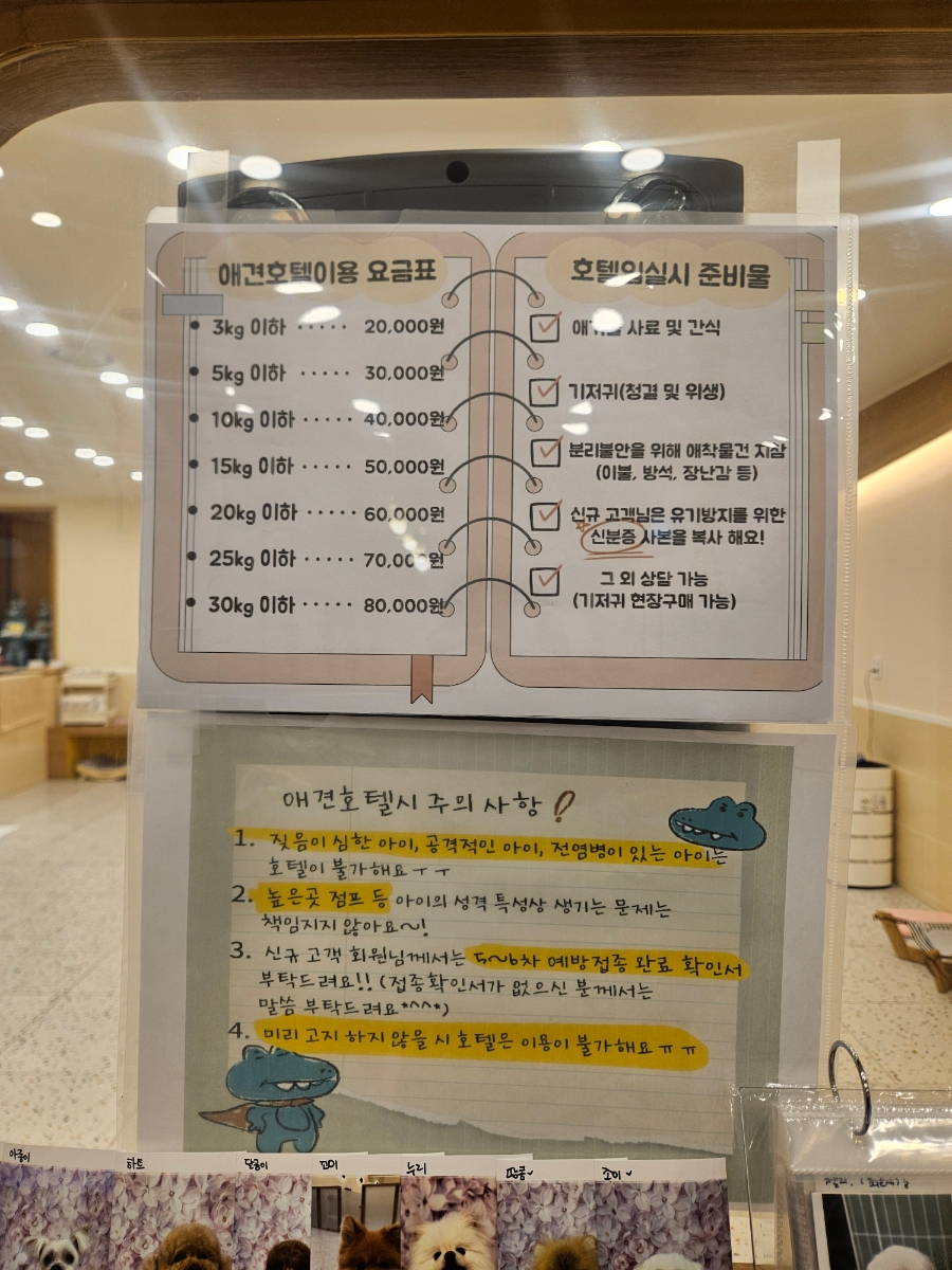 하이도그 이미지