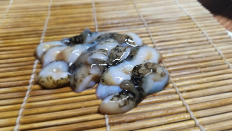 모악정 사진 5