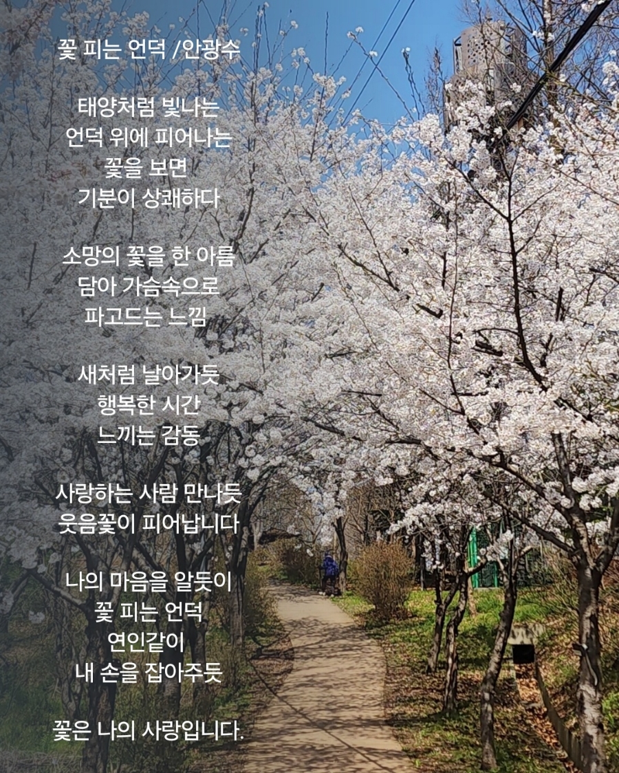 꽃피는언덕 이미지