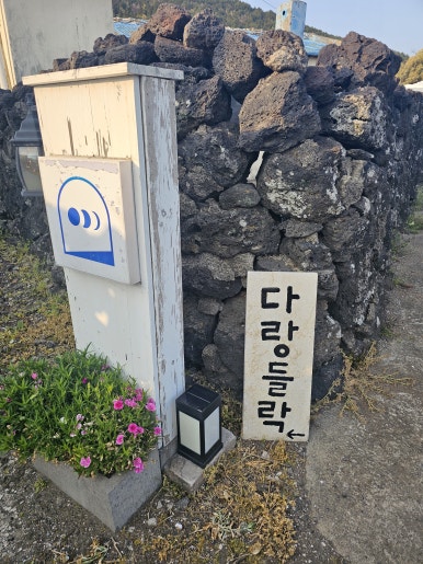 다랑들락 이미지
