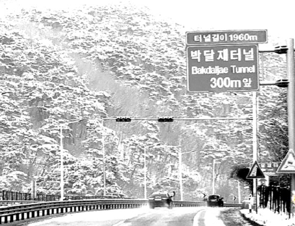 금봉노래 이미지