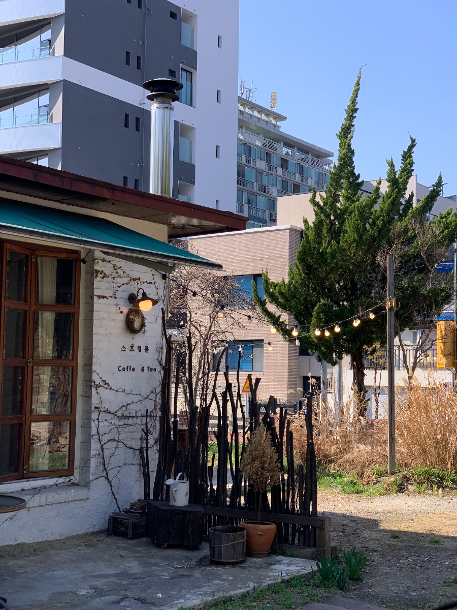 스프링폴카페 이미지