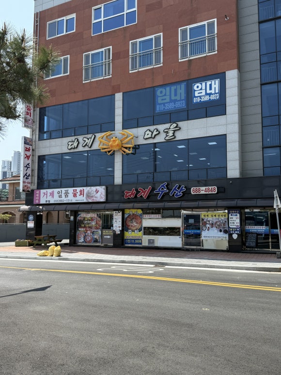 대게마을 거제일품물회 본점 이미지