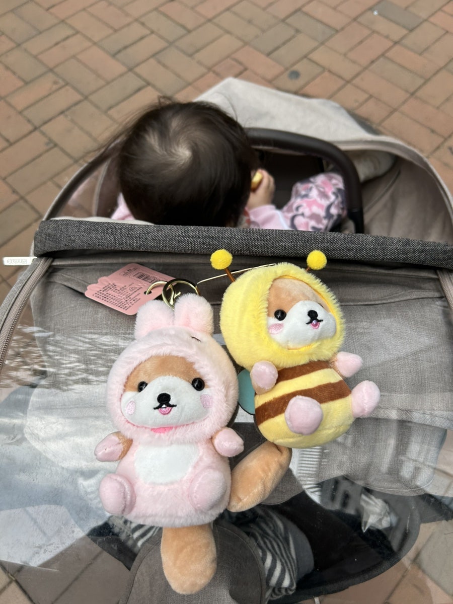 지투존 이미지