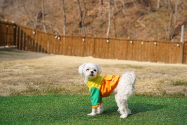 두지네윗집 이미지