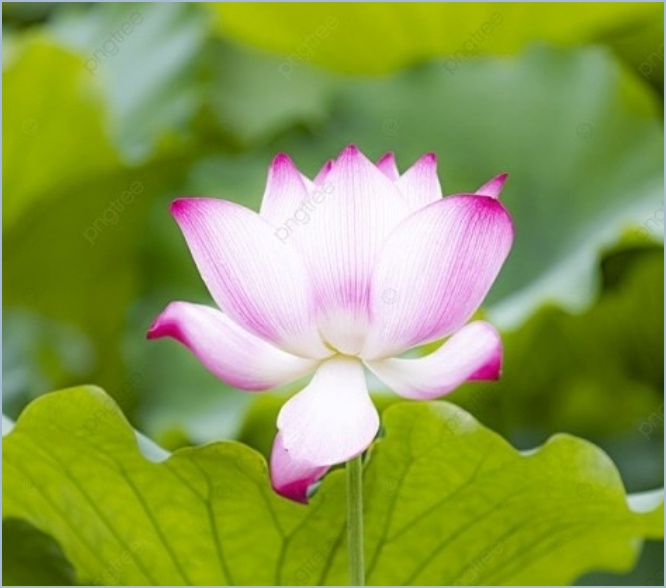 정안에너지 이미지