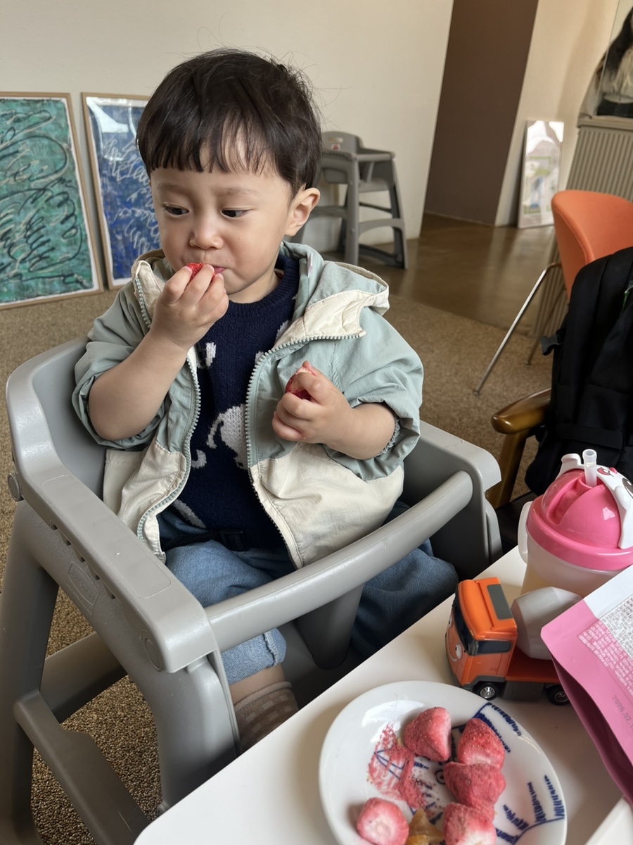 헤이브 이미지
