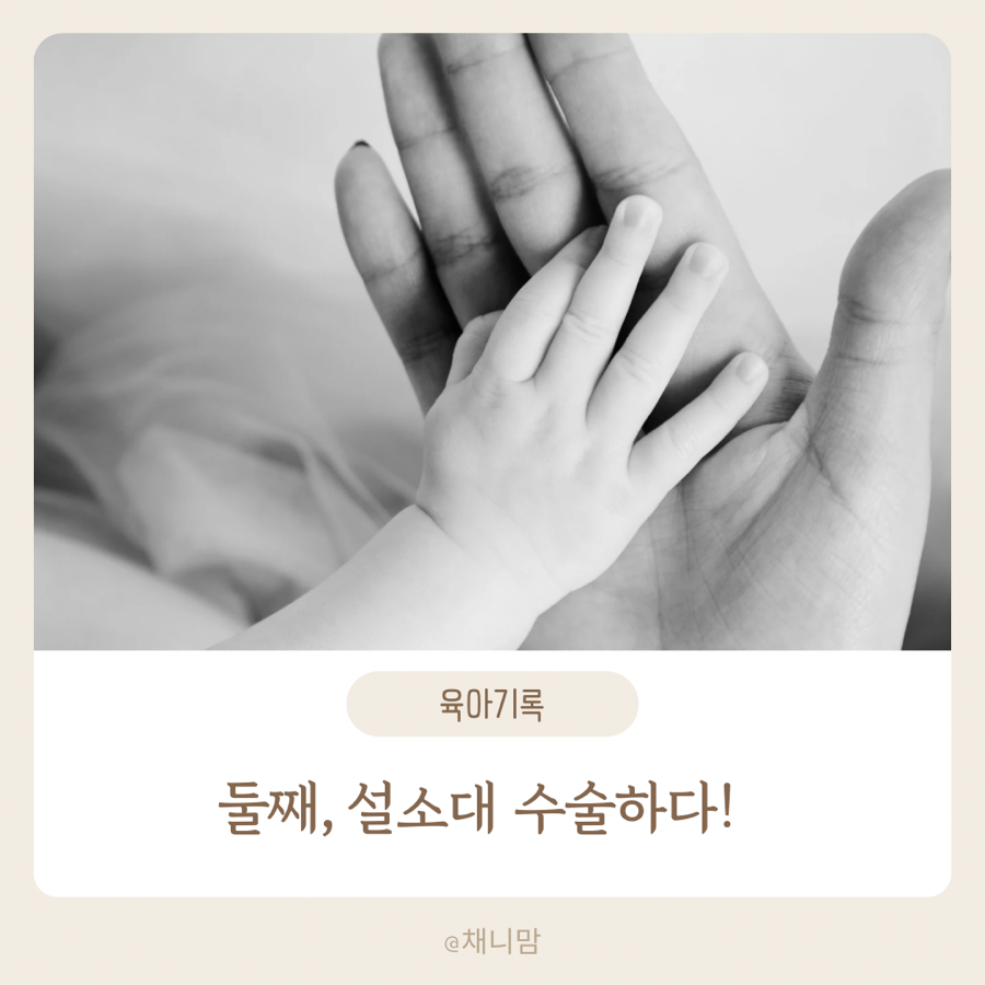 진소아청소년과의원 이미지