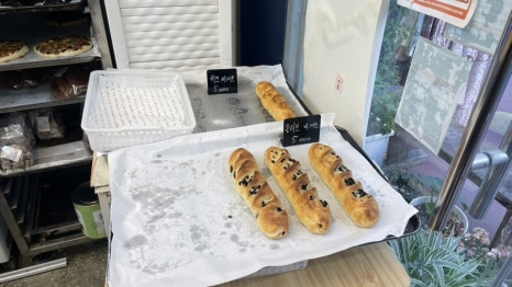 브레디언 이미지