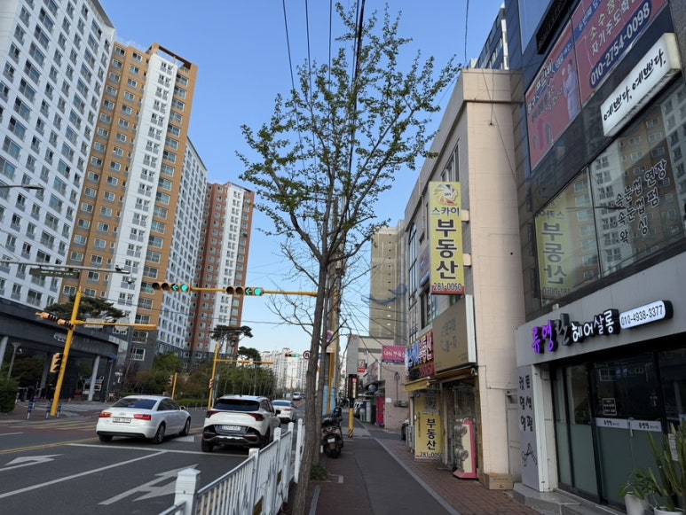 봄별뷰티 이미지