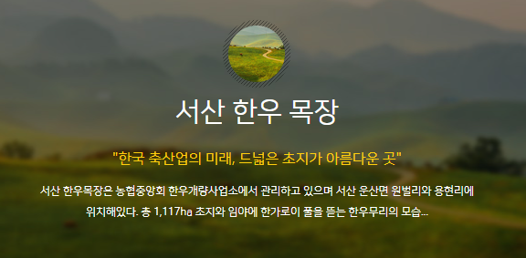 용현견과 이미지
