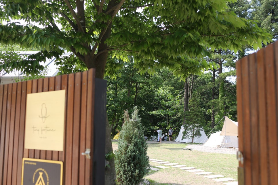 타이니포춘 이미지