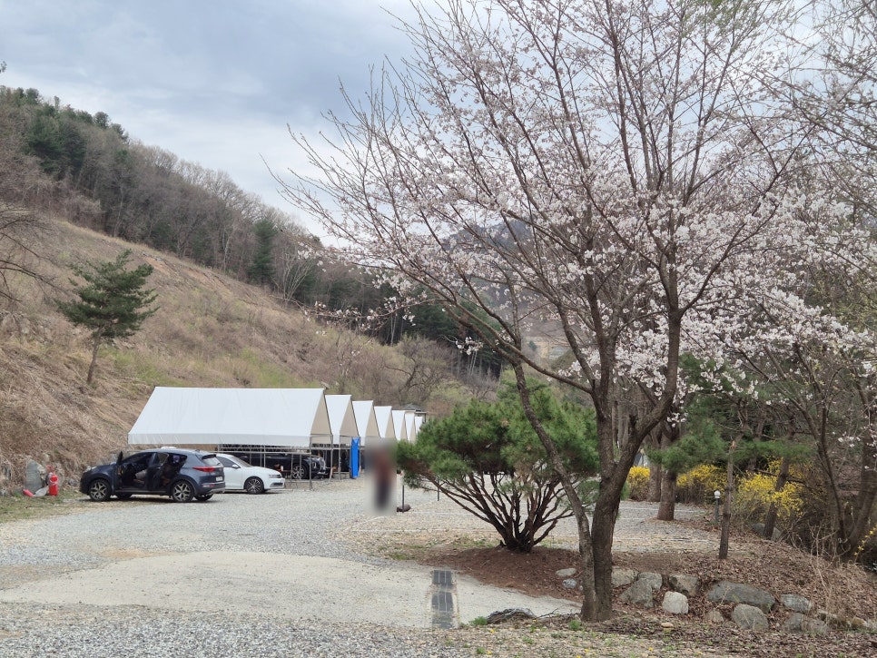 지지벨리유명산오토캠핑장 이미지